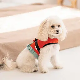 Шлея Monika ТМ Pet Fashion для собак S червона - мініатюра 4
