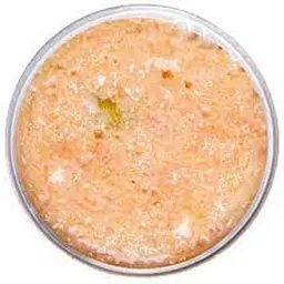 Вологий корм Monge Cаt Monoprotein м'ясні пластівці курка з горошком 80 г - мініатюра 2