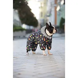 Комбінезон для собак Waudog Clothes, Рік та Морті 2, XS30 - мініатюра 4