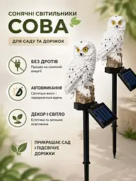 Декоративні газонні світильники Сови на сонячній батареї 2 шт для саду, дачі та клумби, білі (49676315) - мініатюра 3