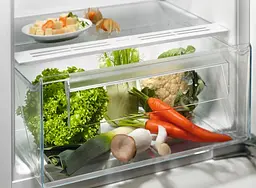 Холодильник Electrolux LRB3AE12S (7203582) - мініатюра 2