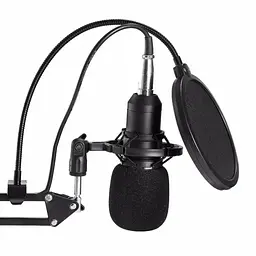Конденсаторний студійний мікрофон RIAS M-800 Pro-MIC зі стійкою і вітрозахистом Black-Gold (4_00352) - мініатюра 4