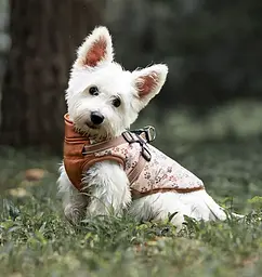 Зимова куртка для собак V.PET.B.R. Luxury Dog Jacket C519 Brown Paw - мініатюра 8
