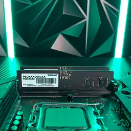 Модуль пам'яті для комп'ютера DDR5 16GB (2x8GB) 4800 MHz Signature Line Patriot (PSD516G4800K) - мініатюра 3