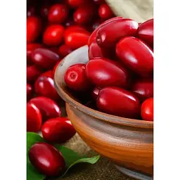 Саджанець Agro-Market Кизил Євгенія 1 шт. в упаковці (35882) - мініатюра 2