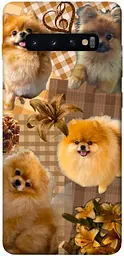 TPU чохол Demsky Spitz aethtetic для Samsung Galaxy S10+