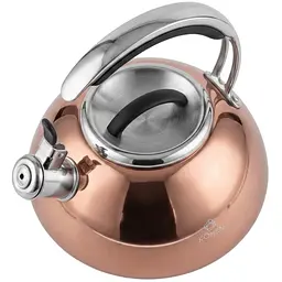 Чайник зі свистком Kohen Golden Flame 3 л (KN93005) - мініатюра 3