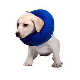 Захисний надувний нашийник для собак Derby Protective Inflatable Dog Cone Collar Blue, XS - мініатюра 3