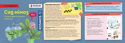 Сад мімоз Mimosa Garden Kosmos - Науковий набір (616809) - мініатюра 5
