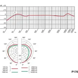 Мікрофон AKG P170 (3101H00410) - мініатюра 3