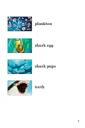 Ladybird Readers. Level 3. Sharks - мініатюра 3