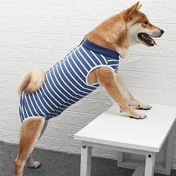 Боді, піжама, післяопераційна попона Derby Fashion Style Stripe