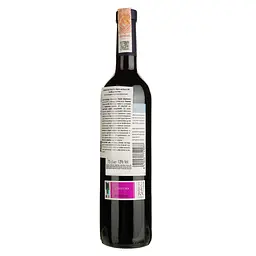 Вино Garcia Carrion Castillo de Azaa Tinto, червоне, сухе, 13%, 0,75 л - мініатюра 2