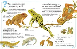 Велика книга «Чому?» - мініатюра 4