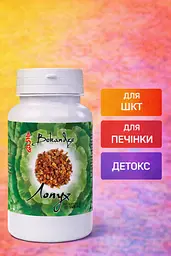 Корень лопуха экстракт 400 мг, 60 капсул — при высыпаниях и тяжести для чистой кожи и комфортного пищеварения, BEKANDZE - миниатюра 3