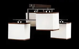 Люстра стельова Splendid-Ray 30-3913-45 - мініатюра 2
