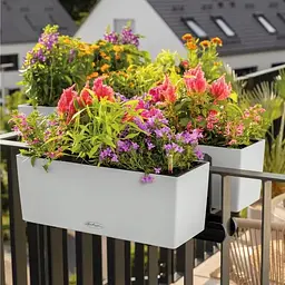Вазон Lechuza Balconera Color 40 білий (15479) - мініатюра 3