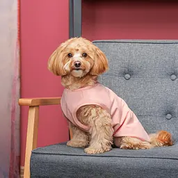 Боротьба Kale Pet Fashion для собак M рожева - мініатюра 4