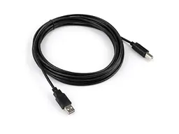 Кабель Vinga USB 2.0 AM/BM Black 5m (VCPUSBAMBM5BK) - мініатюра 3