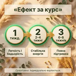 Набір "Повний спектр": спіруліна + хлорела у порошку 500+500 г - мініатюра 7