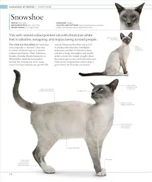 The Cat Encyclopedia - мініатюра 10