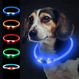 Світлодіодний LED нашийник для собак із зарядкою USB, синій - мініатюра 8