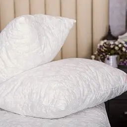 Подушка Ecotton 50х70 см антиалергенна натуральний чохол бежевий 20-0256 Ivory (20604)