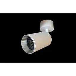 Точковий світильник LED накладний поворотний Linisoln 160XD-WH+SL