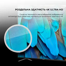Телевізор SHARP 55GP6260E - мініатюра 8