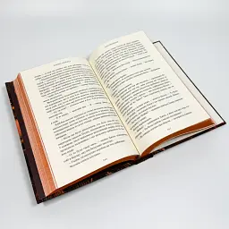 Боговбивця - Ханна Кейнер | Артбукс, книга українською, нова, тверда - мініатюра 3