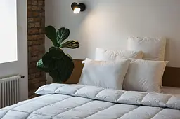 Ковдра Ecotton Ecofill Premium 172х205 см двоспальна антиалергенна з біопухом біла в чохлі для зберігання (25082) - мініатюра 6
