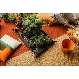 Складаний садовий килимок Fiskars Plant Care для рослин (1071304) - мініатюра 6