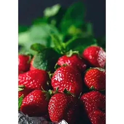 Саджанець Agro-Market Полуниця Кент (Kent) 5шт (ранній термін дозрівання, ягоди добре зберігаються) (25735) - мініатюра 4