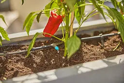 Комплект поливу Gardena Micro-Drip-System Terrace Set на 30 рослин (13400-20) - мініатюра 4