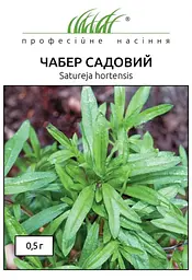 Насіння Чабру Садового 0.5 г Професійне насіння