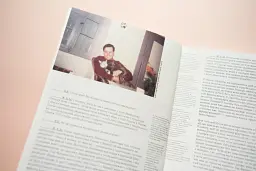Лицар, дама, авангард - мініатюра 3