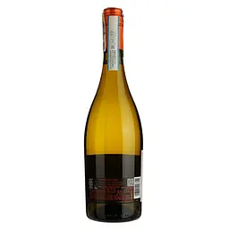Вино ігристе Cielo Prosecco Frizzante DOC, біле, сухе, 0,75 л - мініатюра 2