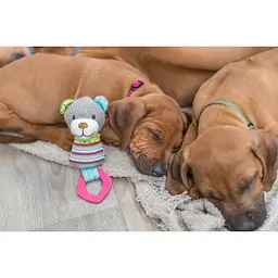 Іграшка Trixie Junior Медведь для собак з кільцем зі звуком 23 см текстиль/плюш - мініатюра 6