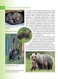 Енциклопедія для допитливих А5. Батьки і діти у тваринному світі - Андрій Гапченко - мініатюра 3
