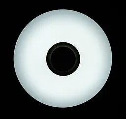 Люстра стельова LED Splendid Ray LY8339/36Wx2, 72W, біла, сучасний стиль з пультом і Bluetooth - мініатюра 4