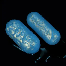 Вагінальні кульки Ocean's Toner Egg Set III - мініатюра 2