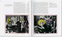 Niki de Saint Phalle - мініатюра 9