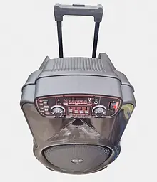 Бездротова Bluetooth-колонка NDR-Y15 15 дюймів 40 Вт з мікрофоном - мініатюра 5