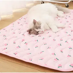 Літня підстилка, що охолоджує Derby Ice Silk Summer Pet Cooling Mat Strawberry 70х100 см - мініатюра 3