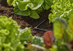 З'єднувач L-подібний Gardena Micro-Drip-System для шлангів 4,6 мм, 10 шт (13212-20) - мініатюра 3