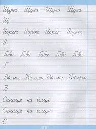 Тренажер для списування речень і текстів. Широка лінійка - мініатюра 6