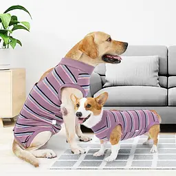 Післяопераційна попона Derby Lilac Stripe, 3XL