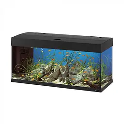 Акваріум Ferplast DUBAI 100 Чорний - 190 L 101 x 41 x h 53 cm