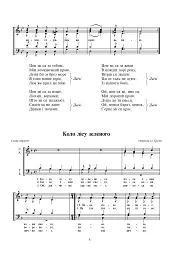 Ой, верше, мій верше - мініатюра 4