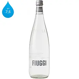 Fiuggi, Oligominerale, 0,75 л, Ф'юджи, Лікувальна мінеральна вода, негазована, скло - мініатюра 1